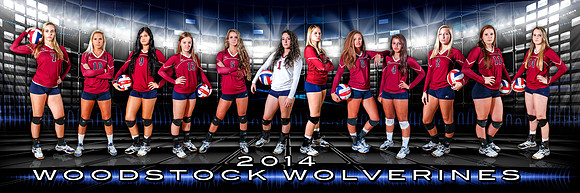 WHS Volleyball 2014 Team Banner (BLUE) 3'x9'