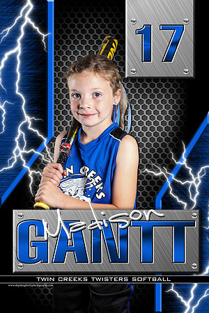 #17 Madison Gantt banner