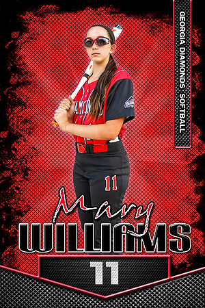 #11 Mary Williams Banner