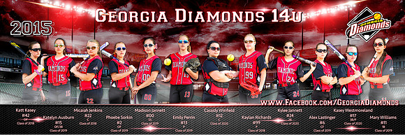 GA Diamonds 3x9 banner