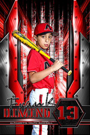 #13 Frank Dimino Banner