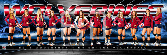 2015 WHS Volleyball 3x9 Banner