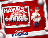 2026 Hopewell Hawks 10u Red Baseball