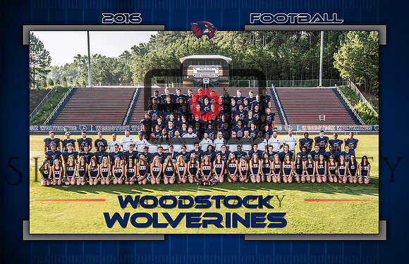 2016 WHS Team Picture
