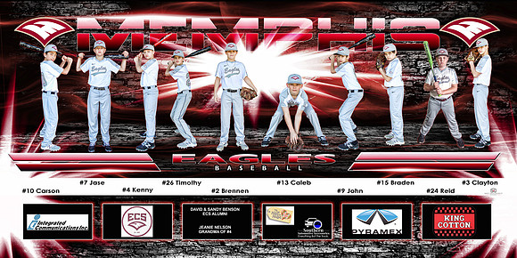 2017 Memphis Eagles Baseball 4'x8' Team Banner