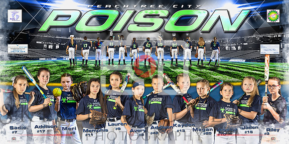 Peachtree City Poison 4'x8' Team Banner