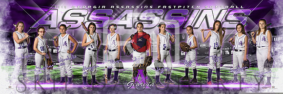 2018 Georgia Assassins Softball 3'x9' Team banner