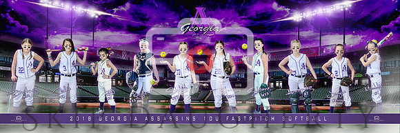 2018 Georgia Assassins 10u Fastpitch Softball 3x9 Team Banner