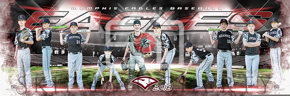 2018 Memphis Eagles 3'x9' Team Banner