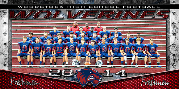 2014 WHS Freshmen Team Picture 10x20