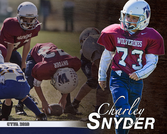 Charley_Snyder_Woodstock_2010