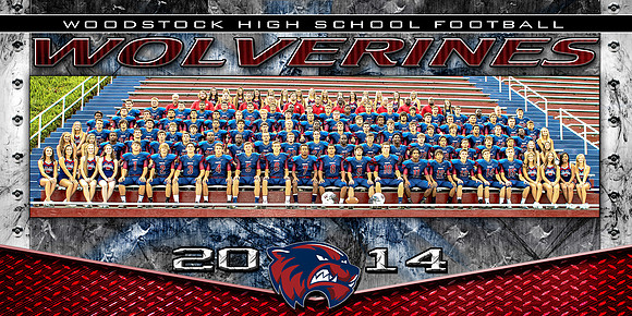 2014 WHS Team Picture 10x20