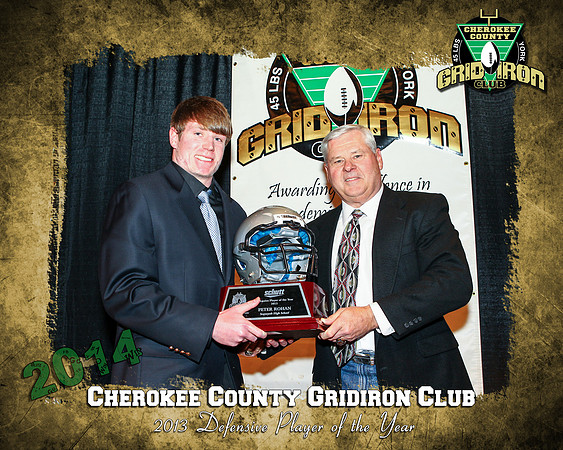 2013 Defensive Player of the Year