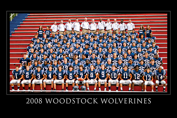 2008 WHS Wolverines