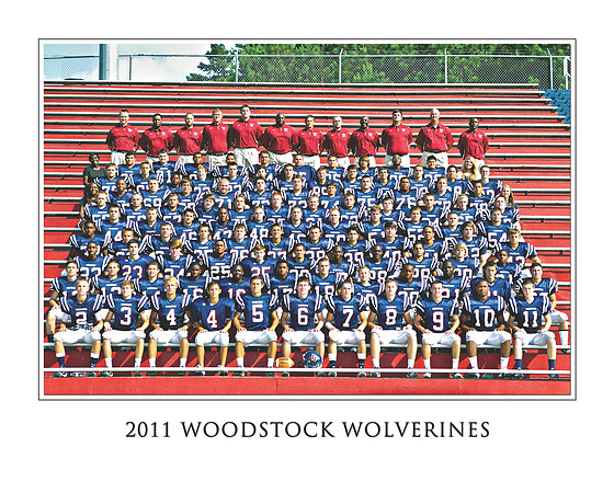 2011 WHS Wolverines