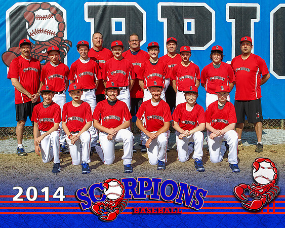 Scorpions 5x7 Team