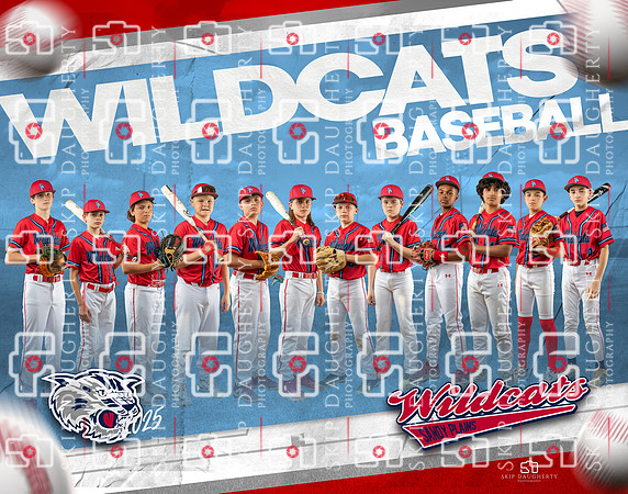Wildcats Baseball 11x14 Puzzle Digital Download