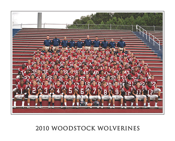 2010 WHS Wolverines